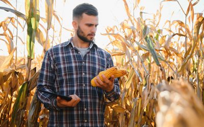 El seguro agropecuario, clave para dar previsibilidad al campo: la nueva propuesta de SANCOR SEGUROS para la campaña 2025/2026