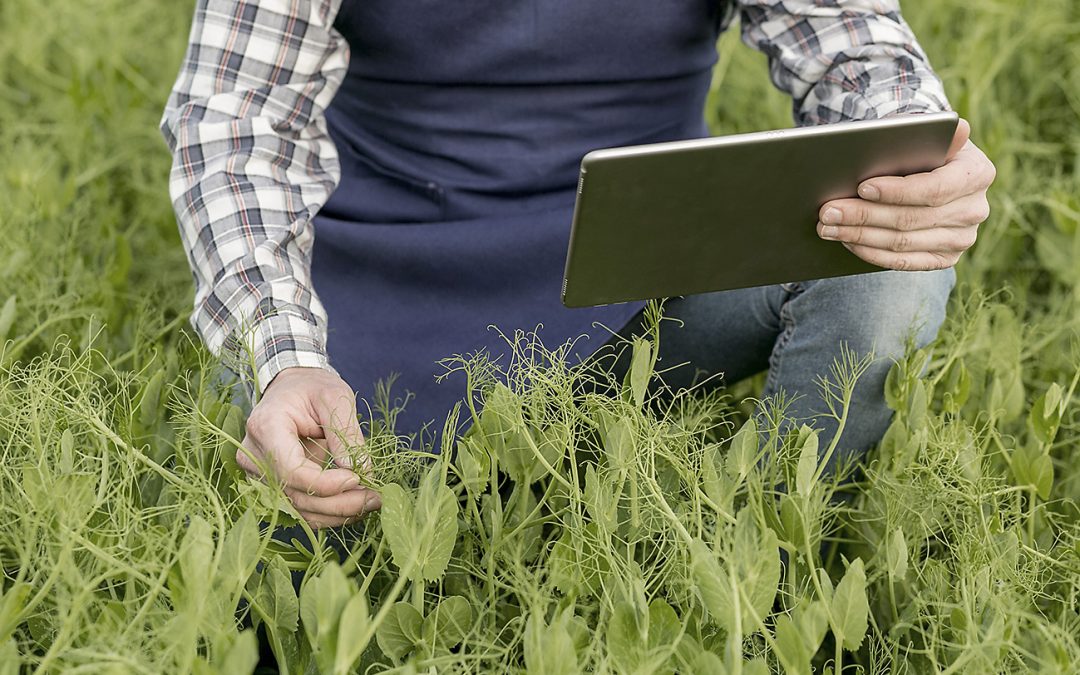 Seguros paramétricos: tecnología, datos y confianza para un nuevo modelo de protección agropecuaria
