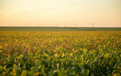 La Segunda Seguros participa de un seguro agrícola inédito en el país, impulsado por la Provincia de Córdoba
