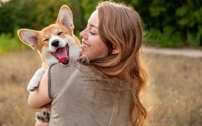 Grupo Omint lanza Omint Mascotas, una nueva unidad de negocios orientada al cuidado integral de la salud de perros y gatos