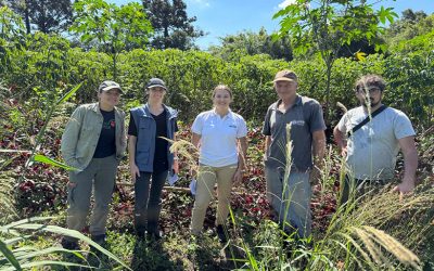 El seguro del yaguareté refuerza su presencia en Misiones con trabajo junto a comunidades 