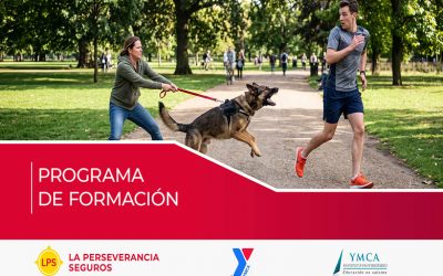 Oportunidad para capacitarse en Responsabilidad Civil Aplicada: gratis, online y con certificación universitaria